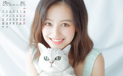 2019国产精品青青草原